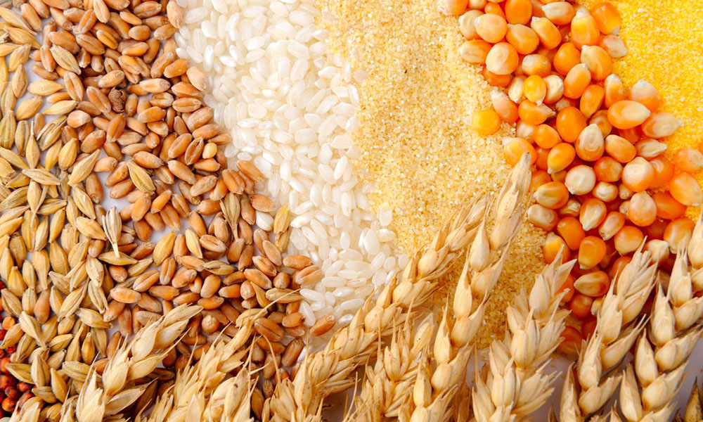 الفرق-بين-دقيق-القمح-والذرة-والسميد